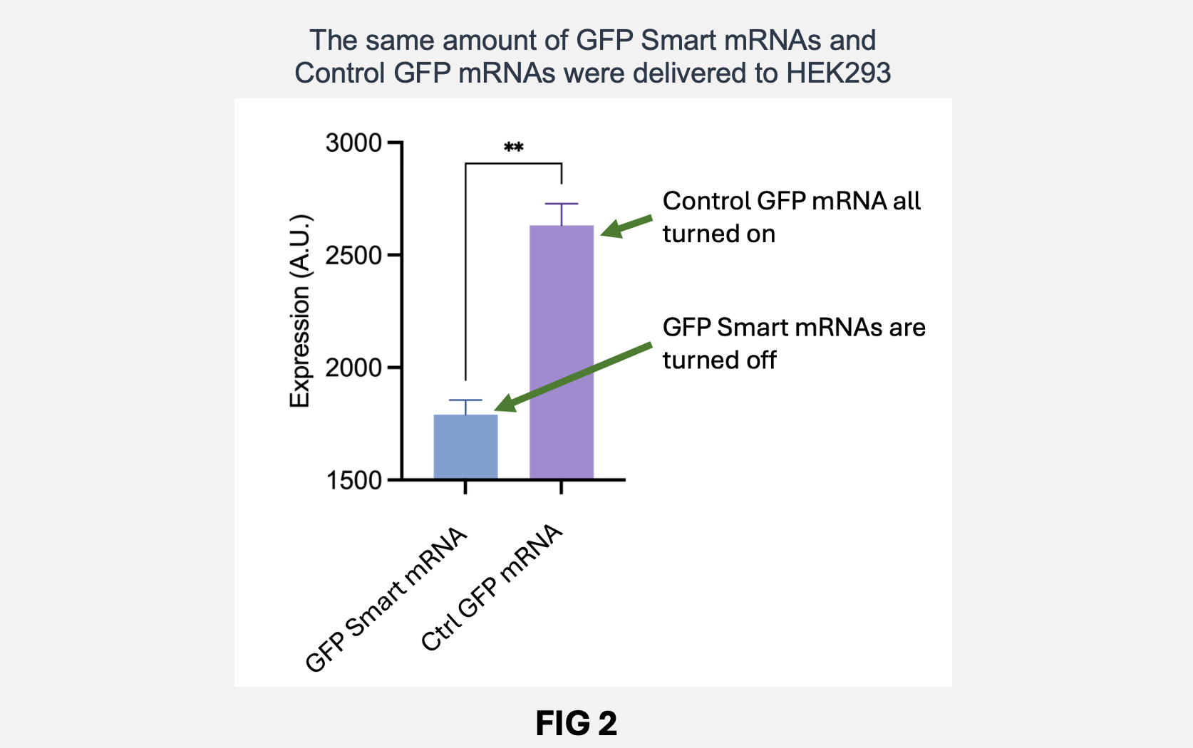 gfp-smart-mrnas