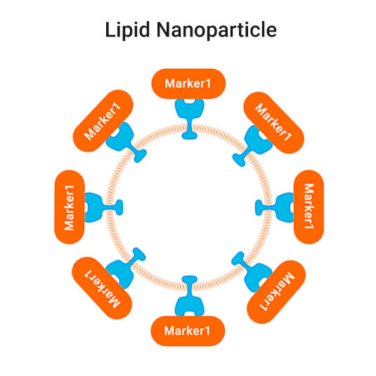 lipid-nanoparticle